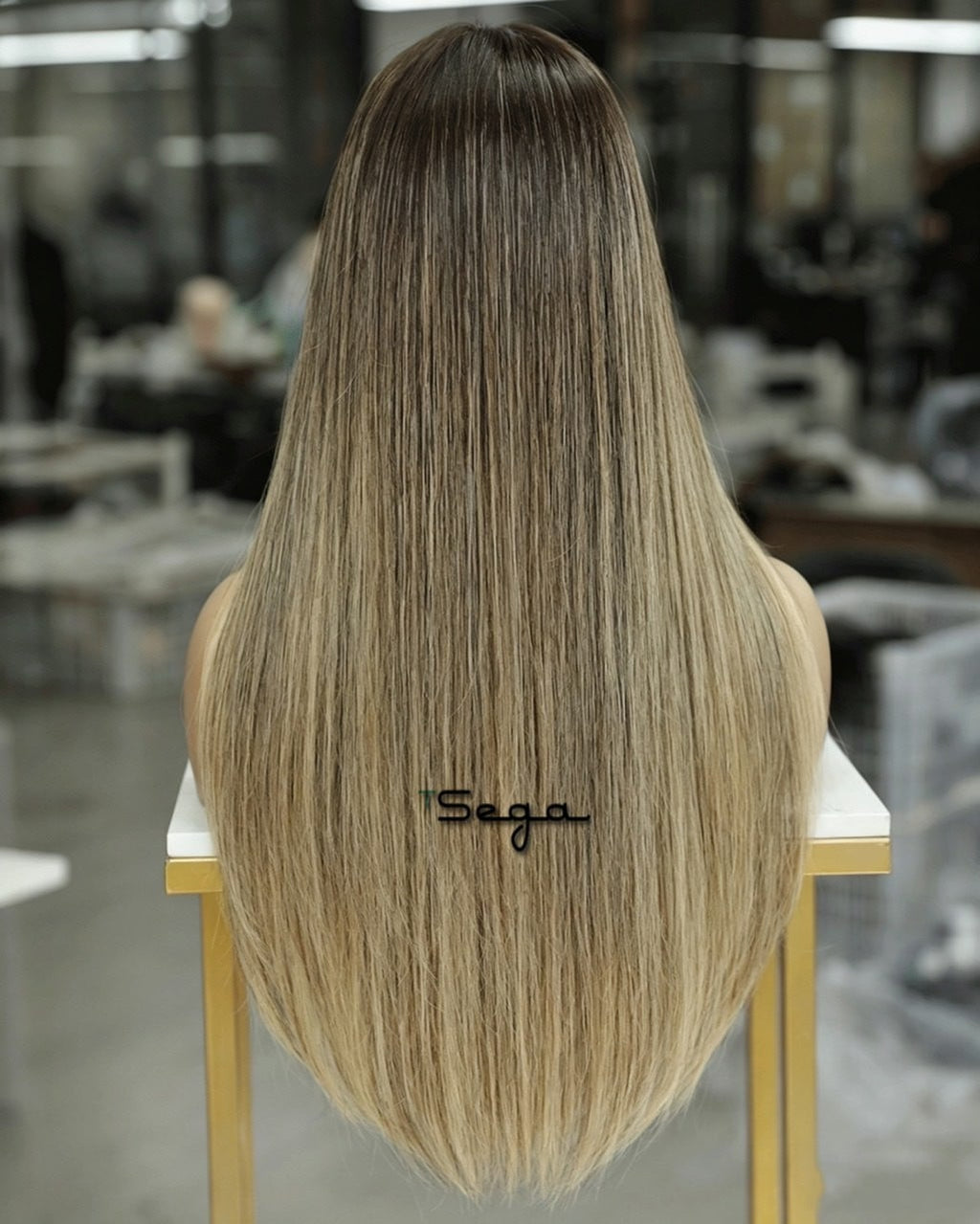 TSEGA Luxury Brazilian Straight Human Hair Wig - Brown (natural color)